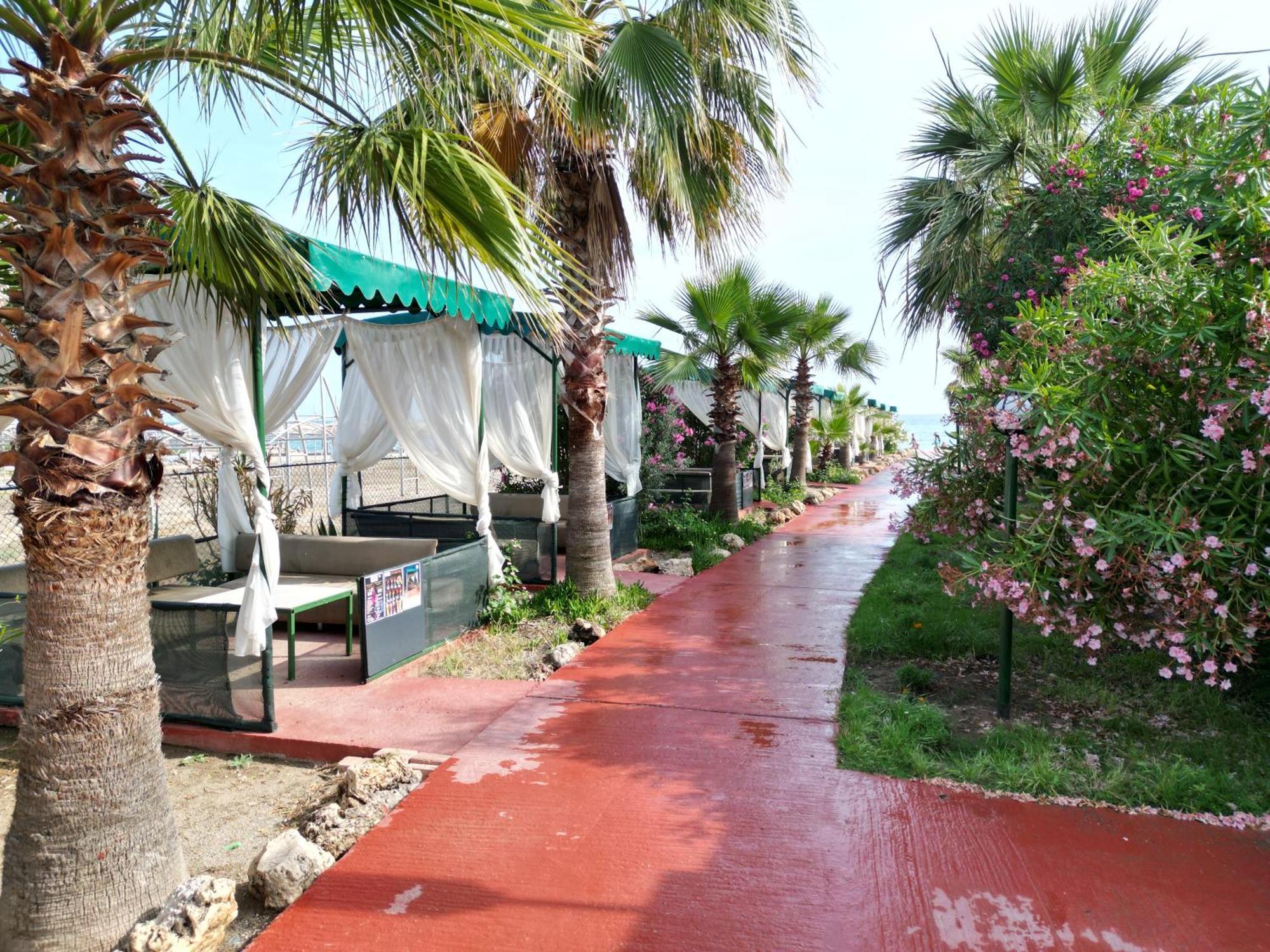 Club Wasa Holiday Village All Inclusive Toslak Εξωτερικό φωτογραφία